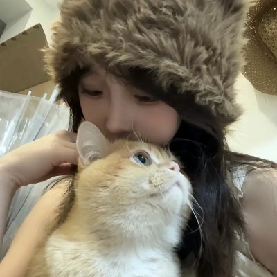 真情给你
